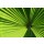 Ortwin Klipp, Leaf 1