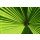 Ortwin Klipp, Leaf 1