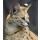 kyslynskyy, Portrait of a serval in nature