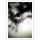 Laetizia Bazzoni, Vgtal / 4220, 2008