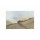 Spencer Lee, HEAVEN AND EARTH II