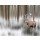 LeitnerR, Hirsch in bearbeiteter Winterlandschaft