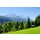 LianeM, Zugspitze 03