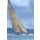 linous, America´s Cup Jubilee / Cowes