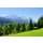 LianeM, Zugspitze 03