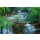 lkunl, Deep forest Waterfall in Kanchanaburi, Thailand