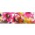 Mona Arnold, Pink Flowers 2
