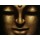Mahayana, Bodhisattva
