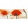 Marthe, Coquelicots au vent III