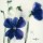 Marthe, Les Penses III