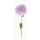 Katja Marzahn, CHINESE PINK