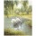 Max Weber, SWAN FAMILY II