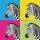 maconga, pop art zebra