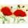 Marthe, Coquelicots au vent II