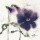 Marthe, Les Penses V