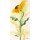 Marthe, Tournesol I