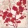 Melissa Pluch, Luscious Orchid 2