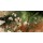 Michael Hopf, Blumen im Wind