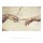 MICHELANGELO BUONARROTI, Creazione Di Adamo