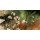 Michael Hopf, Blumen im Wind
