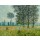 Claude Monet, Sunlight Under The Poplars