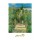 Claude Monet, Artist \'s Garden at Vetheuil