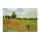Claude Monet, Mohnfeld bei Argenteuil
