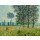Claude Monet, Sunlight Under The Poplars
