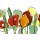 Walter Muth, Rote Blumen Trilogie II