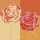 Rod Neer, Pop Roses I