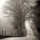 Nicholas Bell, Shades Cove