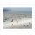 Nicolas Le Beuan Bénic, Plage,2008