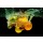 Nmedia, Fruit and vegetables splash into water