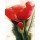 Gerd Pflumm, Faszination Mohn II