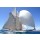 PHOTOPOLITAIN, team spirit esprit d'équipe voilier regate mer ocean yachting