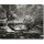 Ralf Uicker, Central Park Bridge