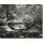 Ralf Uicker, Central Park Bridge