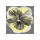 Sally Scaffardi, Pansies I