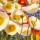 Shirley Novak, Sunny Abundance III