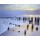Sigurd Schneider, Sunset at Ostsee Coast I