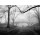 Henri Silberman, Gothic Bridge, Central Park NYC