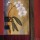Leinwandbild, Don Li-Leger, Orchid Lines I