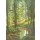 Svetlana Osipova, SUNLIT FOREST