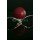 tanja_riedel, Tomato