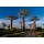 Thomas Marent, Baobab Tree