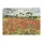 Vincent van Gogh, Field of Poppies