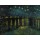 Vincent van Gogh, Notte stellata