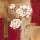 Verbeek & van den Broek, Shimmering Blossom