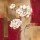 Verbeek & van den Broek, Shimmering Blossom