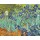 Vincent van Gogh, Iris